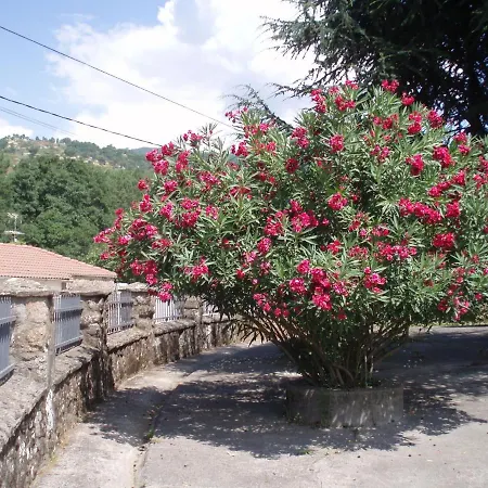 Maraba Holiday home